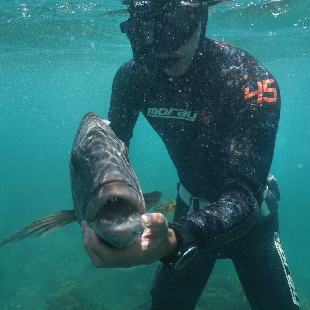 Moray 45 7mm Wetsuit image 3